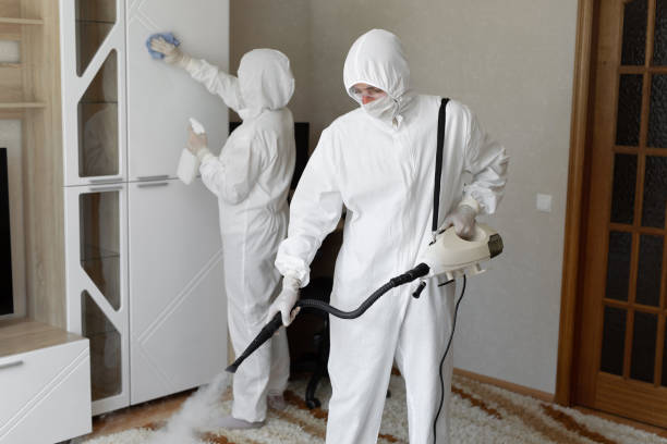 Certified Mold Removal in Wagner, SD