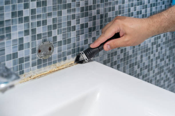 Best Best Mold Removal Companies  in Wagner, SD